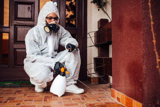 Reliable Cockroach Control contractor in South Padre Island, TX by Nex Pest Control