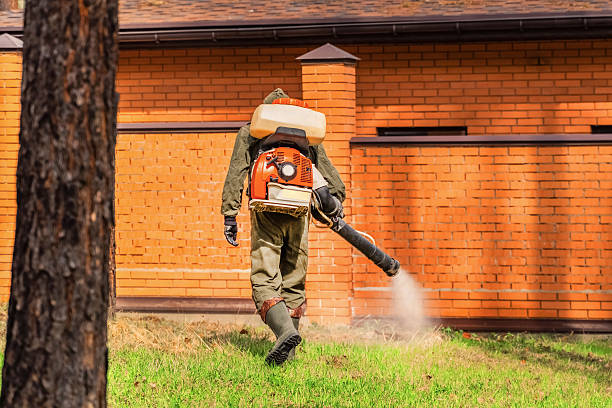Trusted Ant Control service in South Padre Island, TX - Nex Pest Control